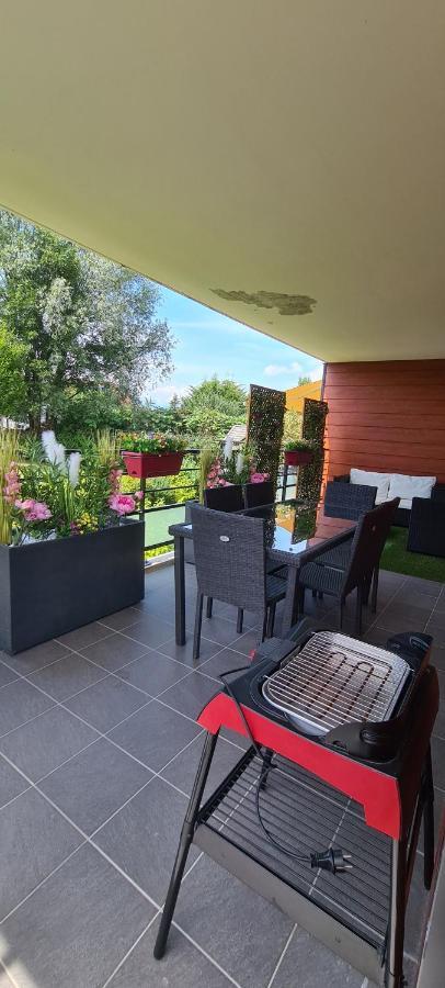 Le Cocon Du Leman Apartment Viry  Exterior photo